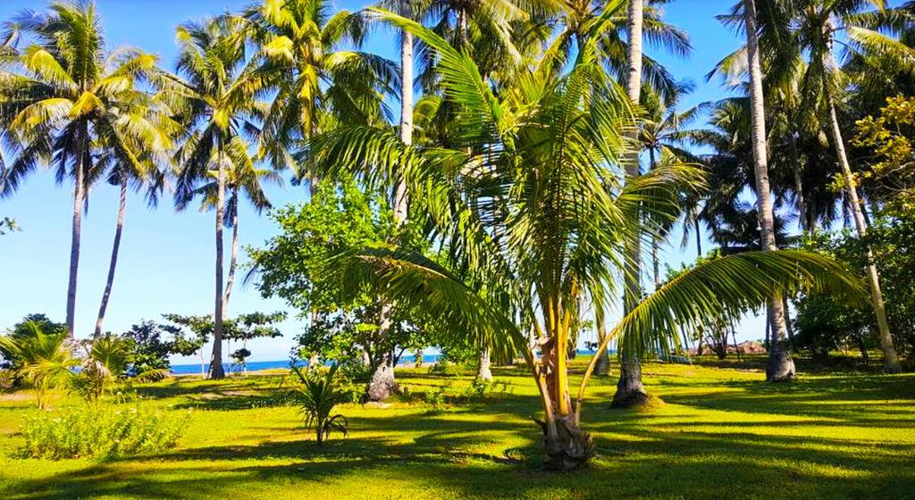 Somewhere Else Boutique Resort Mambajao Eksteriør bilde